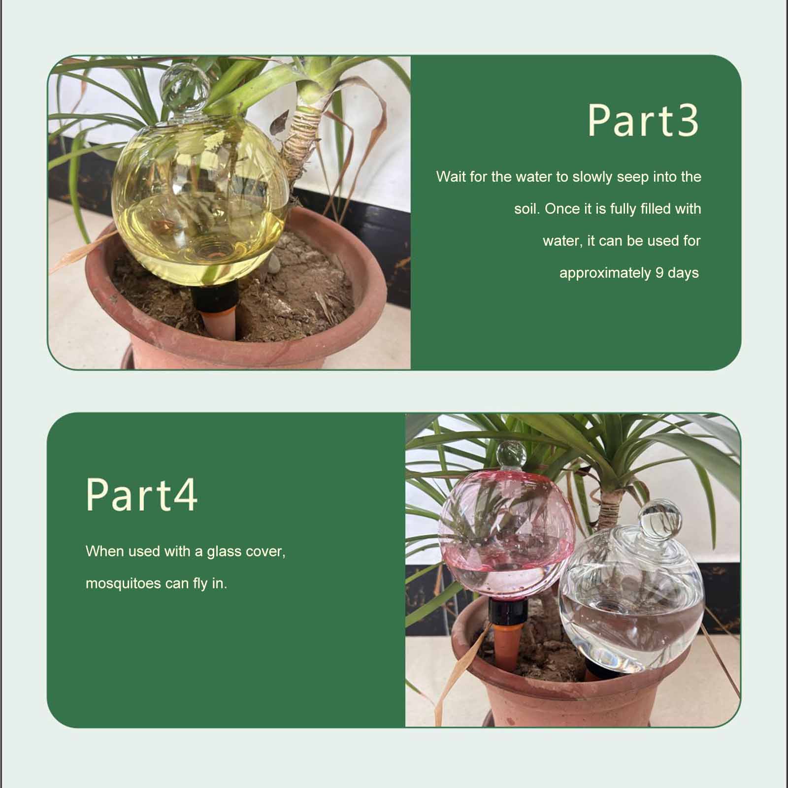 Plant Watering Globe - Globes d'arrosage automatiques 500 ml –