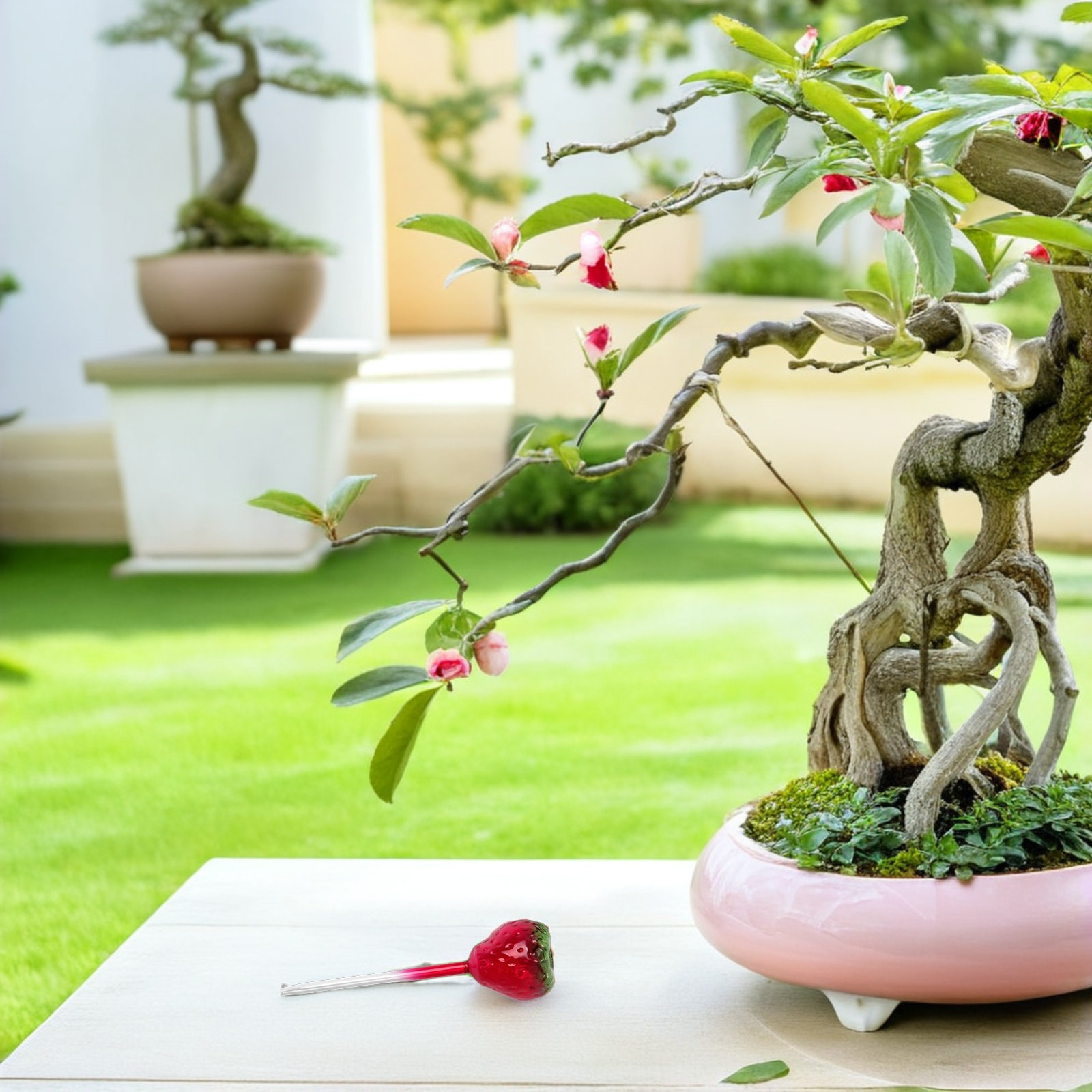 Plant Watering Globe - 2 Globes d'arrosage automatiques en verre