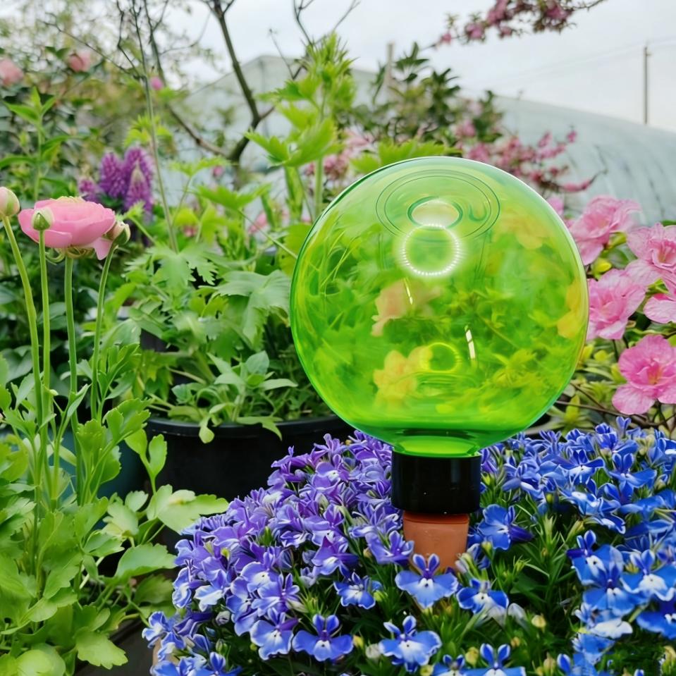 Plant Watering Globe - 3 globes d'arrosage automatique pour grandes