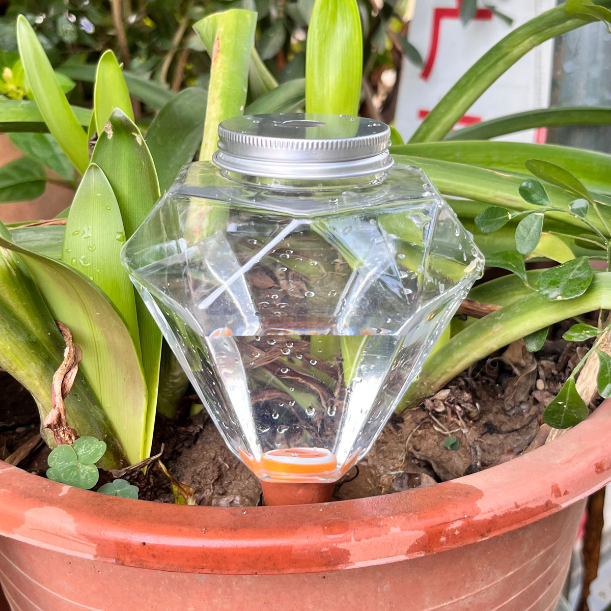 Plant Watering Globe - 1 pièce Arroseur automatique en plastique