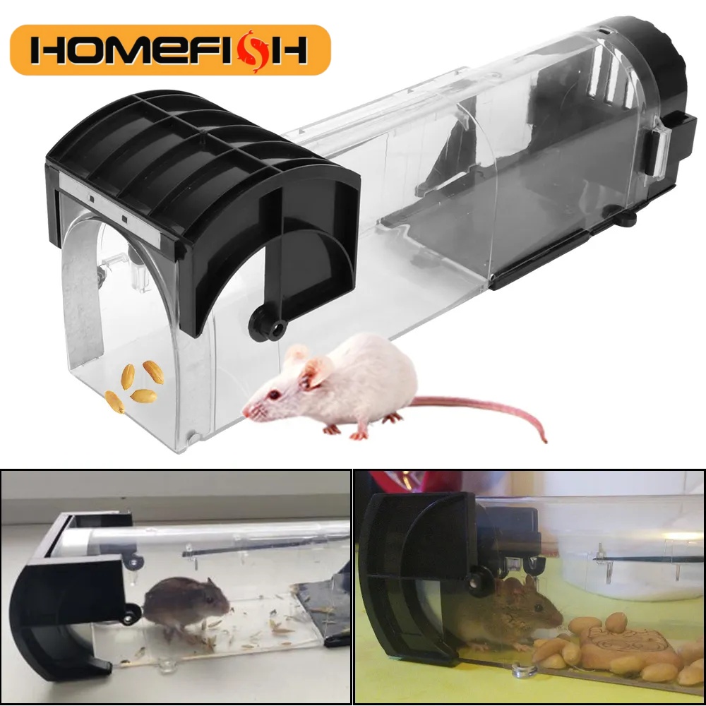 Piège à souris sûr, ferme, hum - Smart Garden Outdoor avis et prix