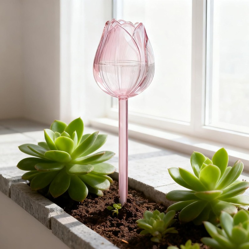 Boules d'arrosage pour plantes - Plant Watering Globe avis et prix