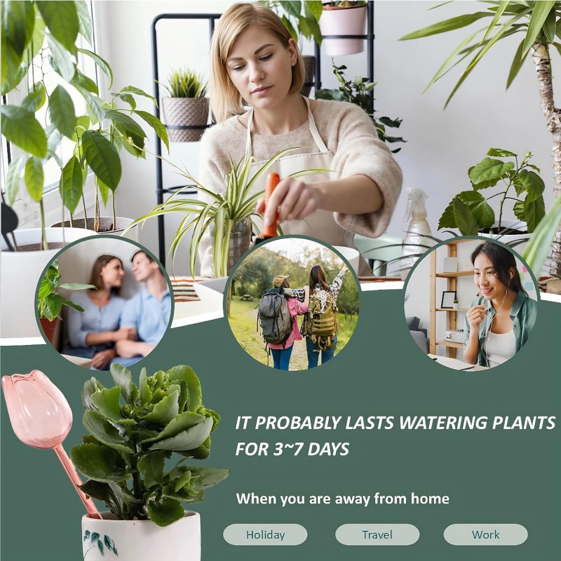 Boules d'arrosage pour plantes - Plant Watering Globe avis et prix