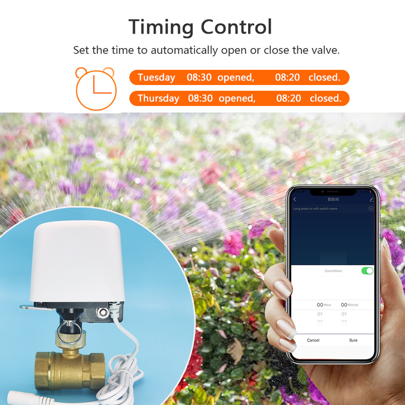 Vanne d'eau intelligente Tuya  - Smart Garden Outdoor avis et prix
