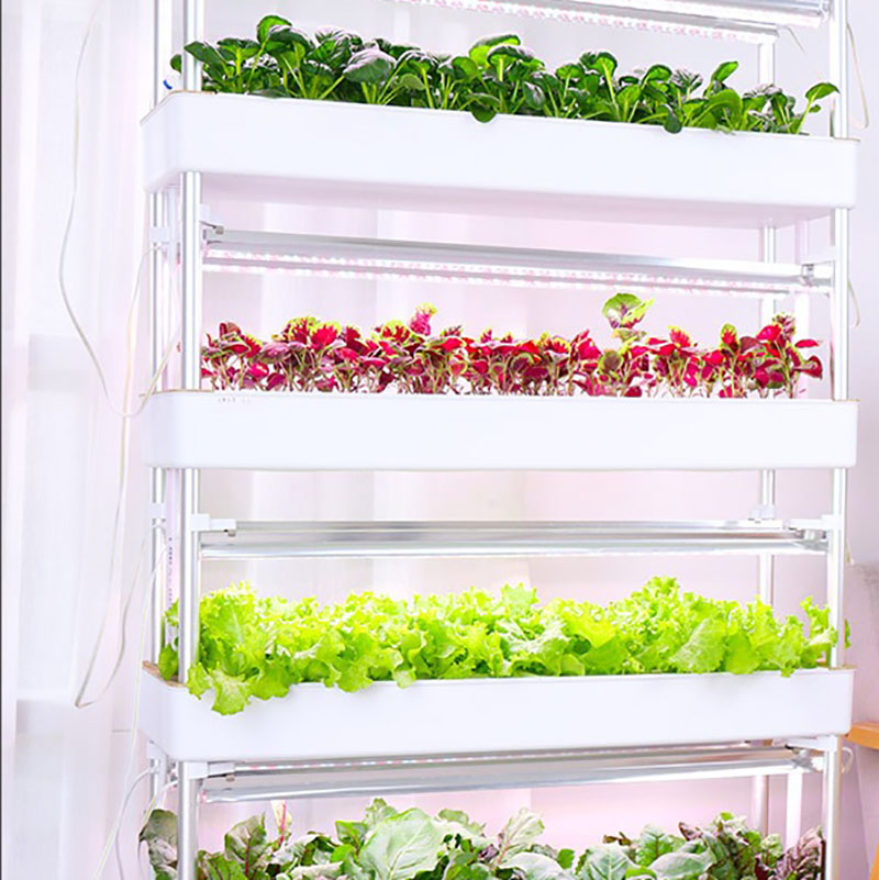 Tour de culture hydroponique v - Smart Garden Box avis et prix