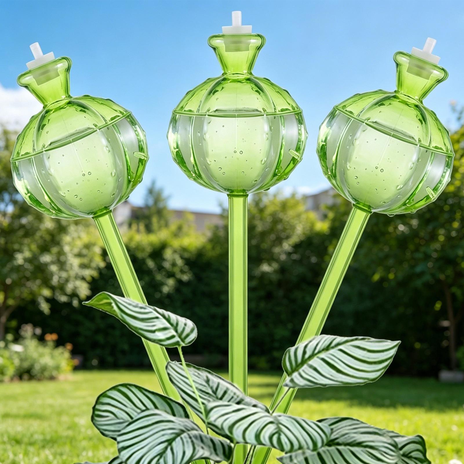 Globes auto-arrosants 3 pièces - Plant Watering Globe avis et prix