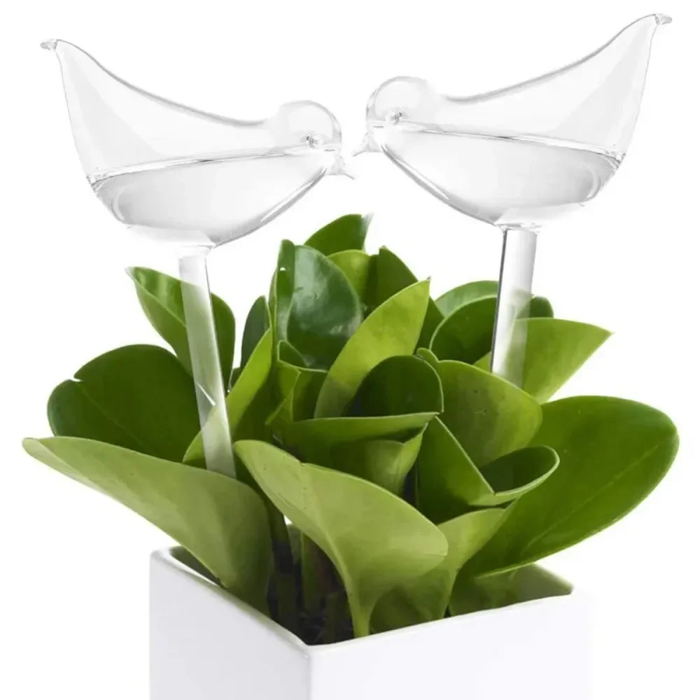 Système d'arrosage automatique - Plant Watering Globe avis et prix