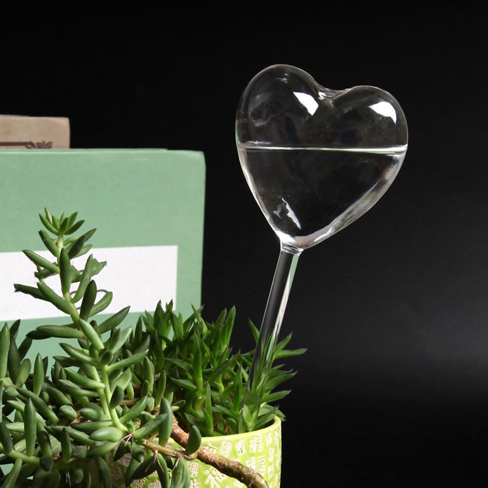 3 globes d'arrosage automatiqu - Plant Watering Globe avis et prix