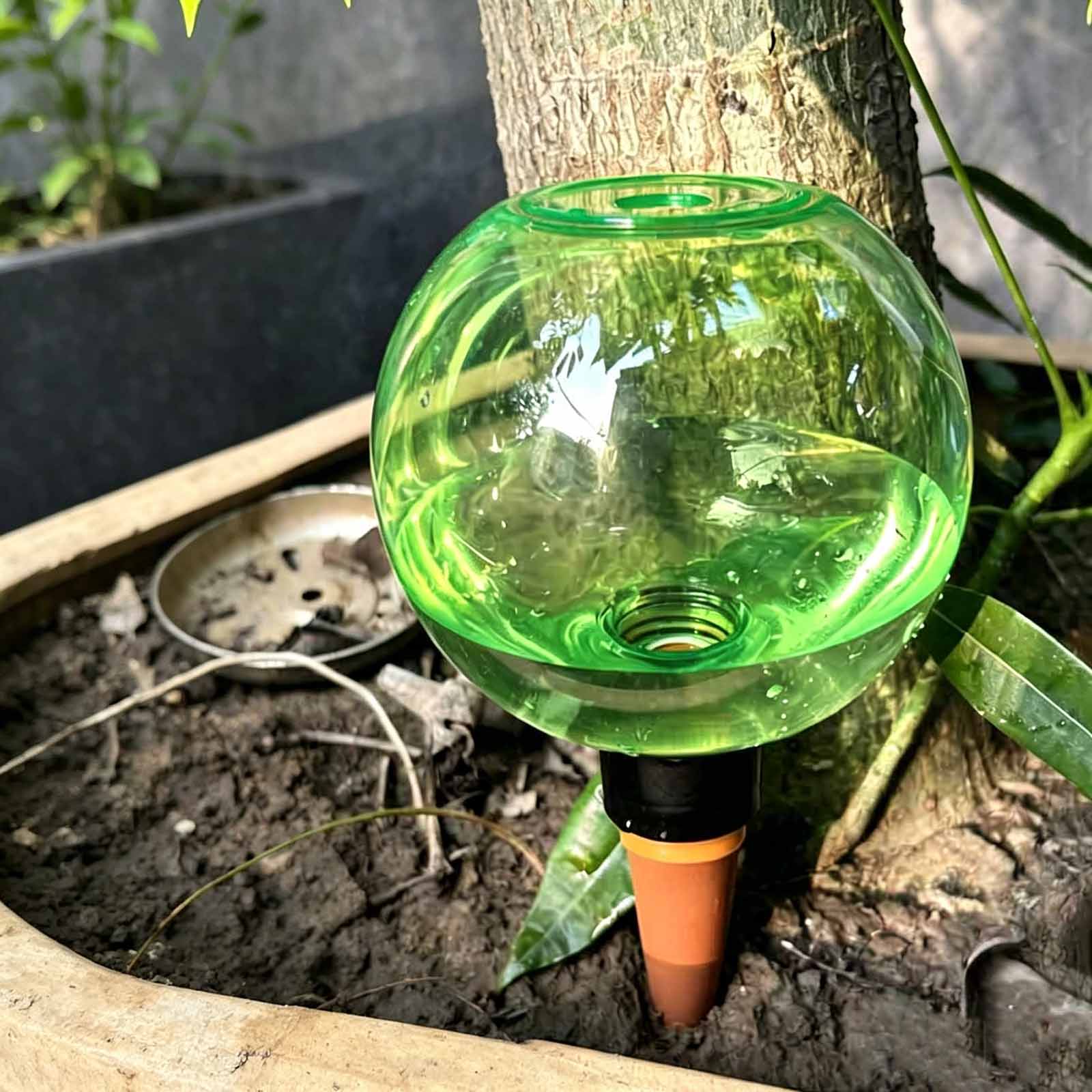 Boules d'arrosage automatiques - Plant Watering Globe avis et prix