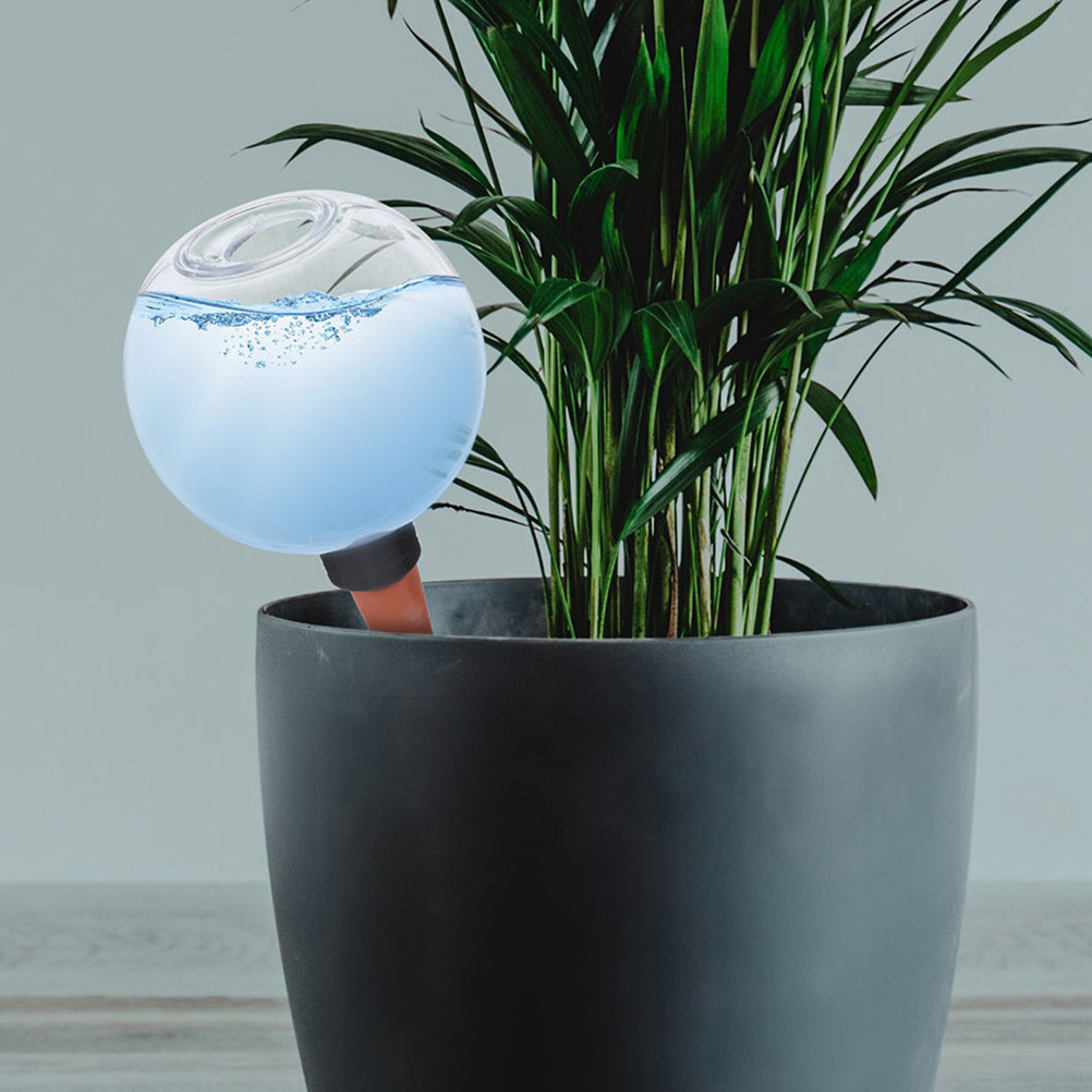 3 pièces d'arroseurs automatiq - Plant Watering Globe avis et prix