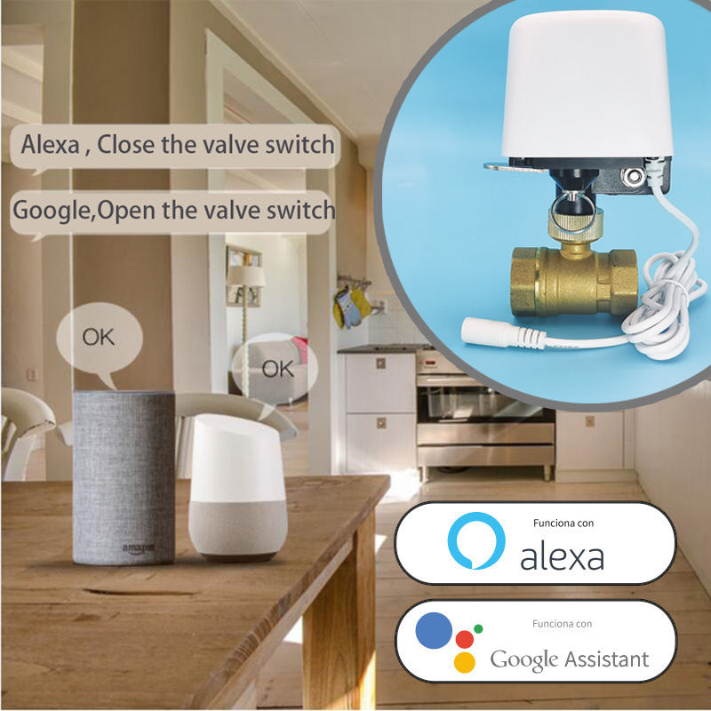 Minuteur d'arrosage intelligen - Smart Garden Refill avis et prix