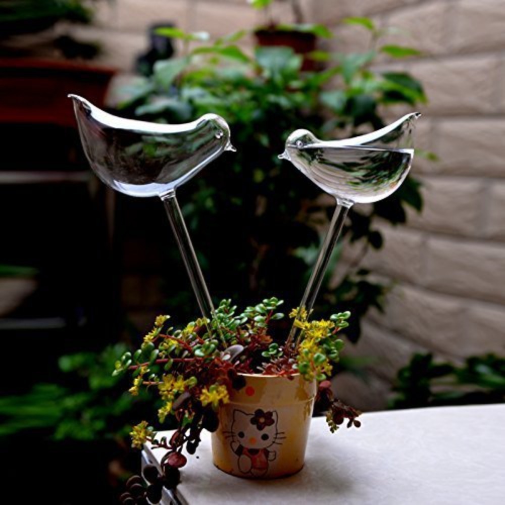 Dispositif d'arrosage automati - Plant Watering Globe avis et prix