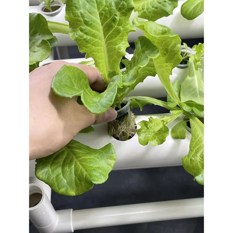 Kit de culture hydroponique 10 - Aquaponics Home Kit avis et prix