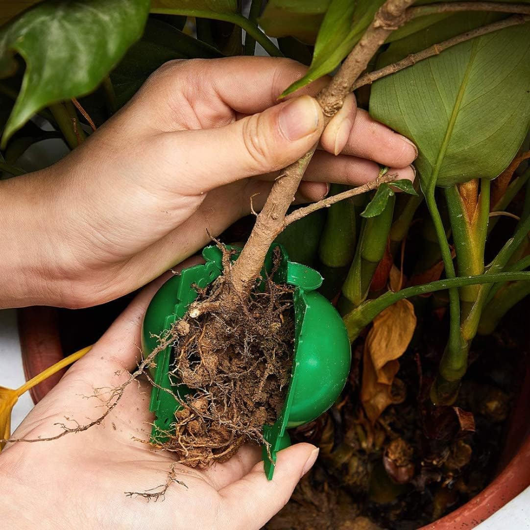 Boule de bouturage réutilisabl - Smart Garden Box avis et prix