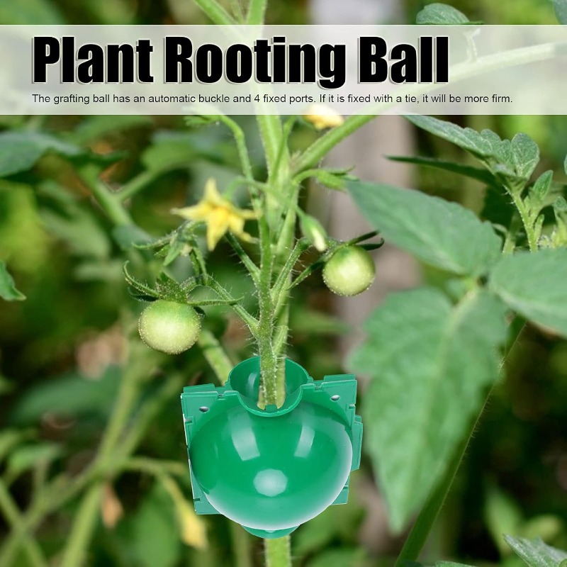 Boule de bouturage réutilisabl - Smart Garden Box avis et prix