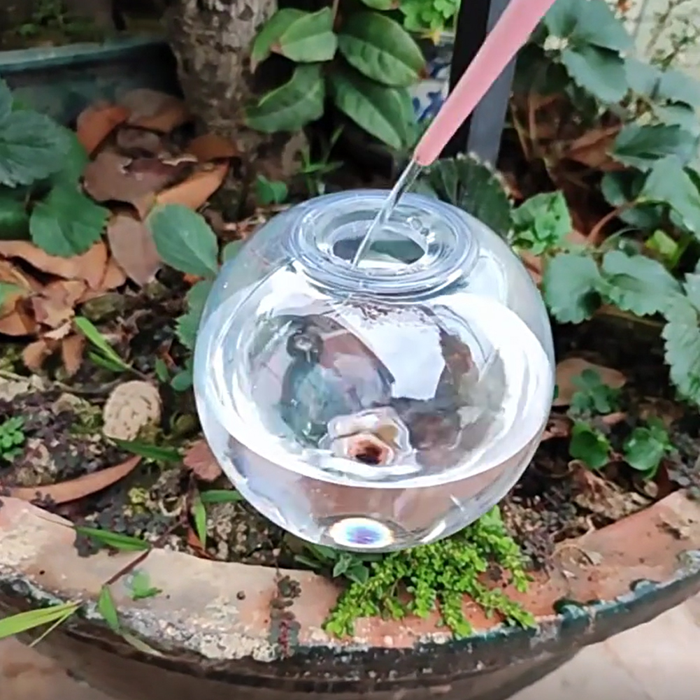 Globes d'arrosage automatique  - Plant Watering Globe avis et prix