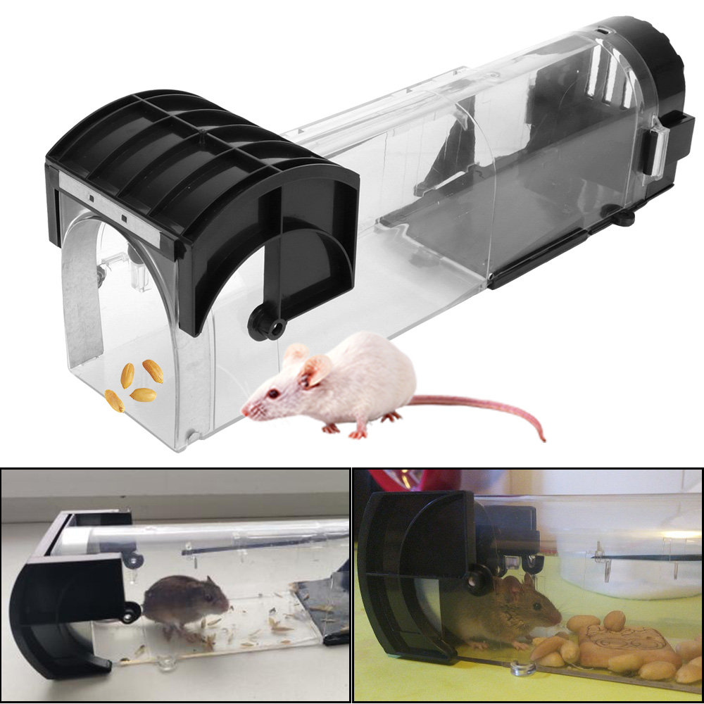 Piège à souris autobloquant in - Smart Garden Outdoor avis et prix