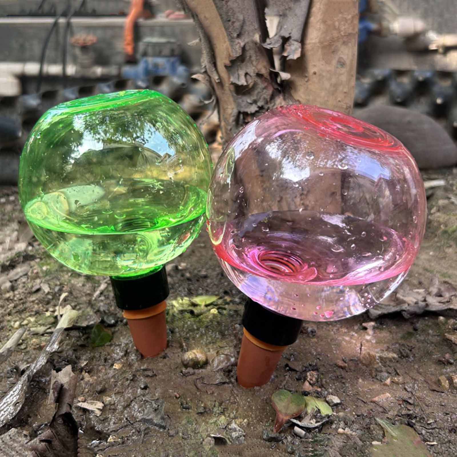 Boules d'arrosage automatiques - Plant Watering Globe avis et prix