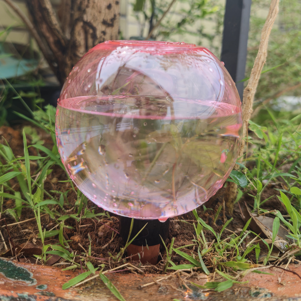 Boules d'arrosage automatiques - Plant Watering Globe avis et prix
