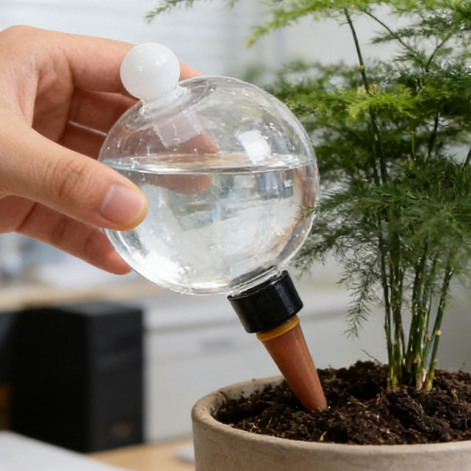 4 Globes d'arrosage automatiqu - Plant Watering Globe avis et prix