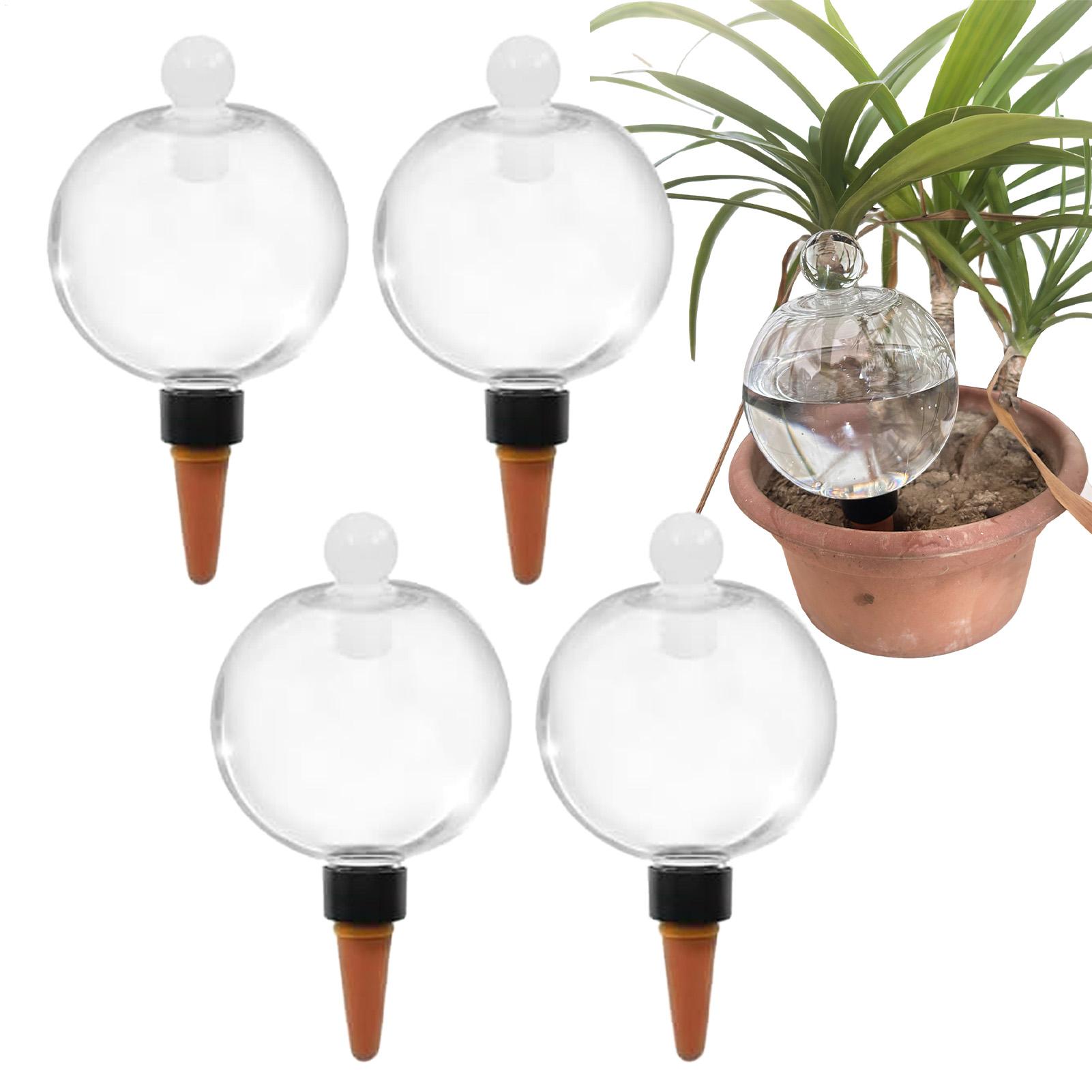 4 Globes d'arrosage automatiqu - Plant Watering Globe avis et prix