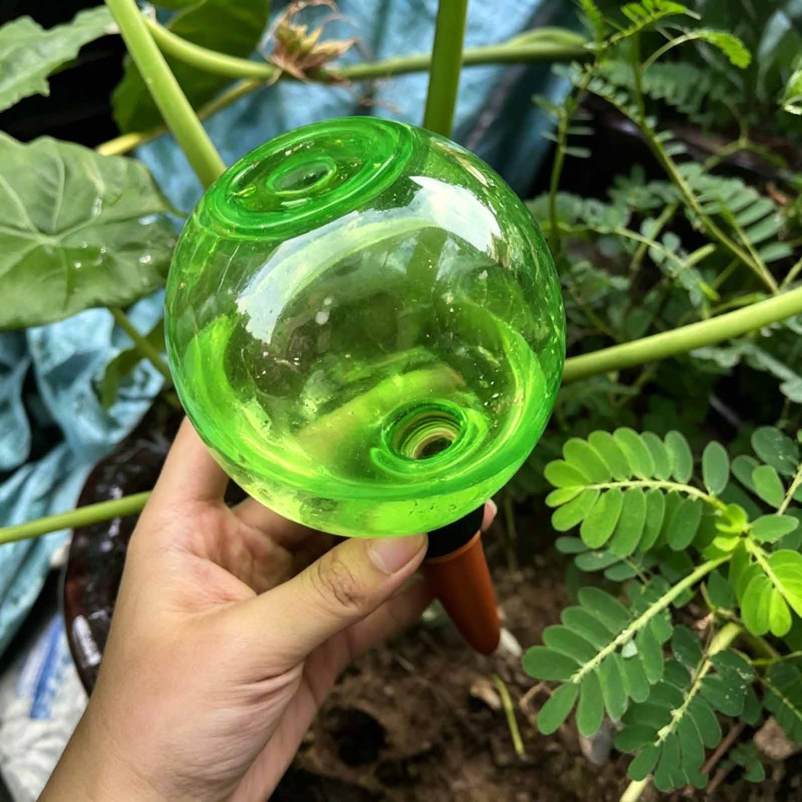 Globes d'arrosage automatique  - Plant Watering Globe avis et prix