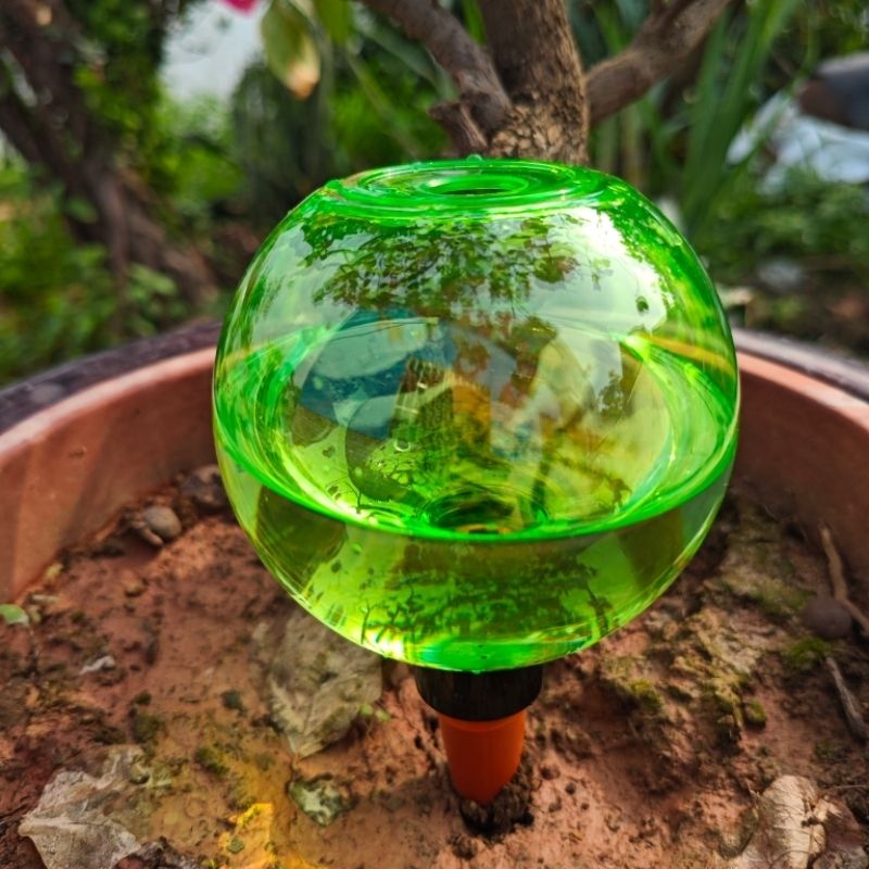 3 globes d'arrosage automatiqu - Plant Watering Globe avis et prix