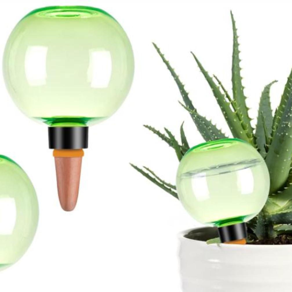 3 globes d'arrosage automatiqu - Plant Watering Globe avis et prix