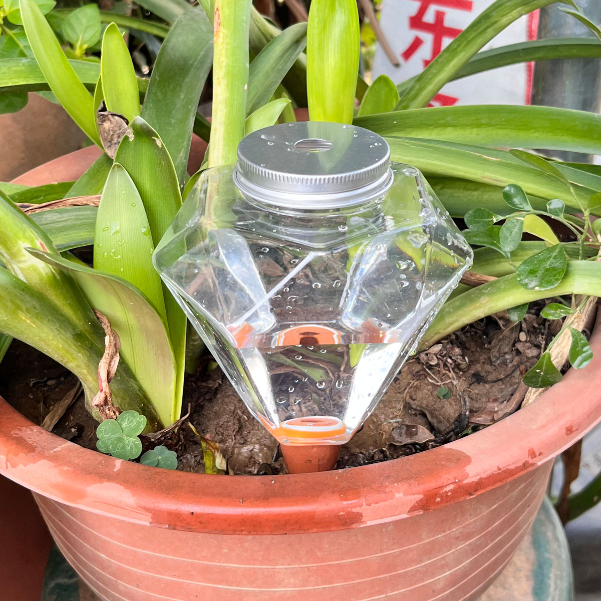 1 pièce Arroseur automatique e - Plant Watering Globe avis et prix