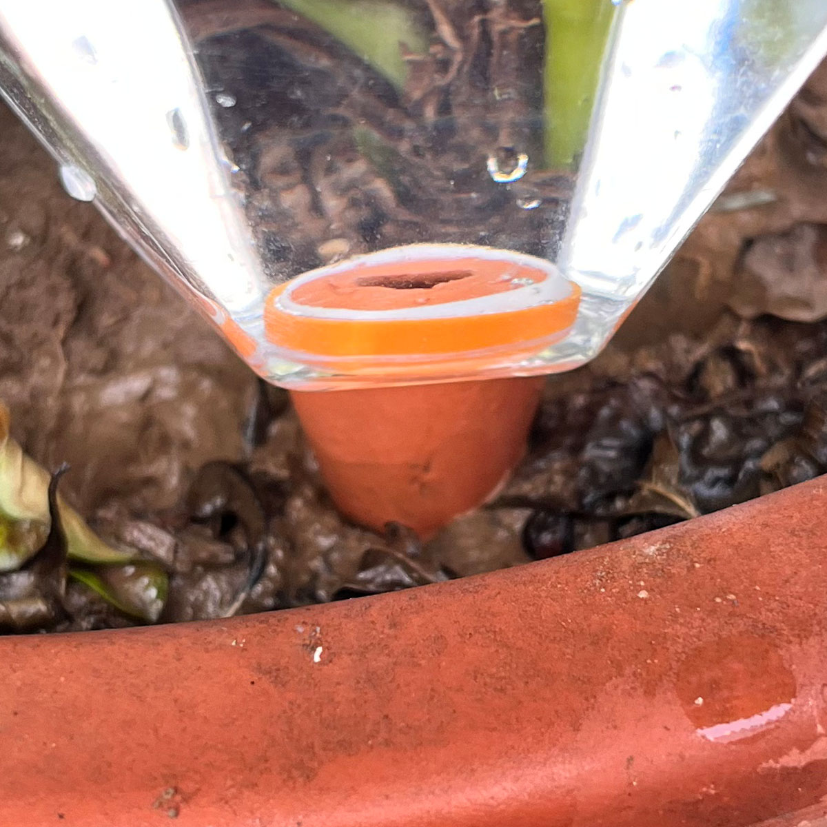 1 pièce Arroseur automatique e - Plant Watering Globe avis et prix