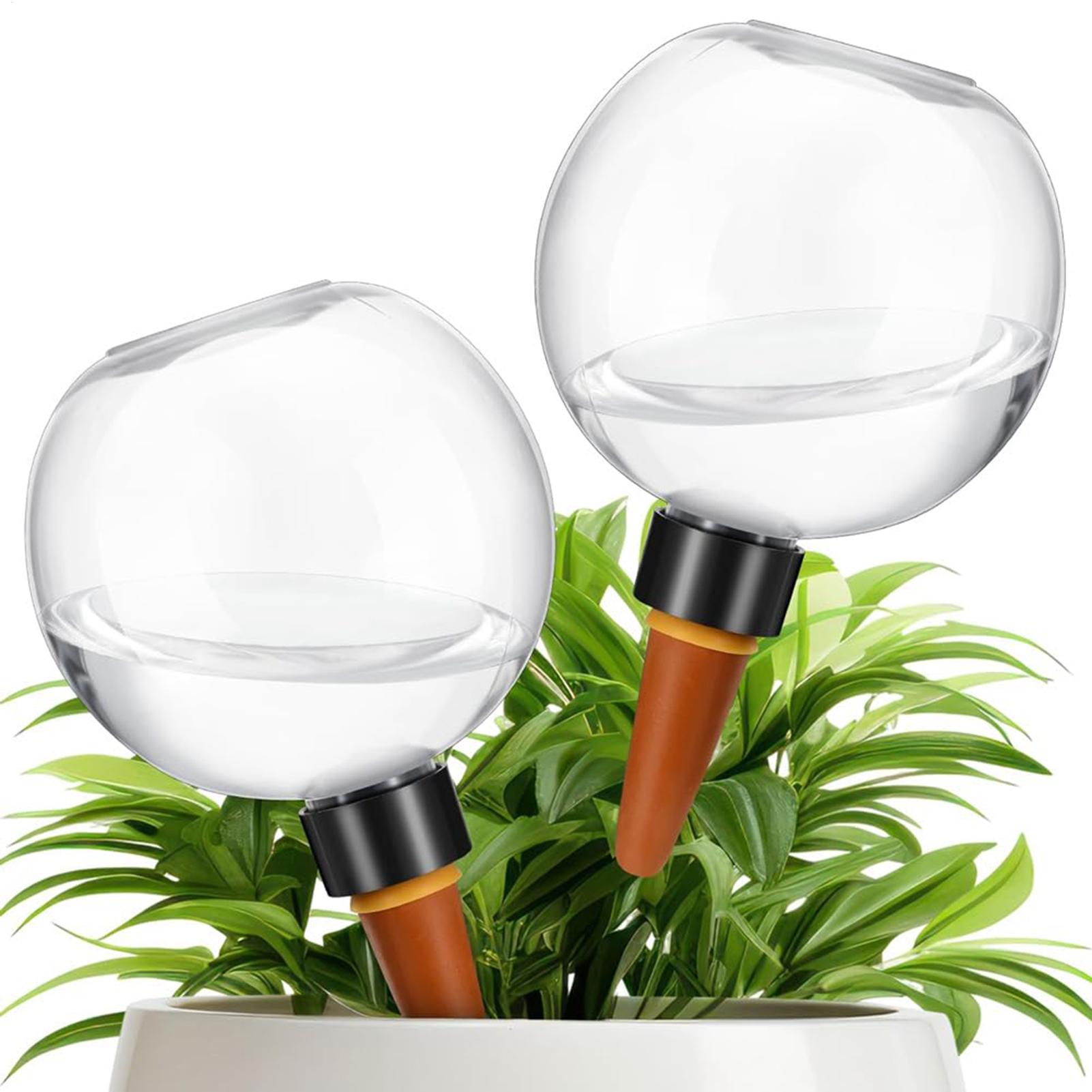 Ampoules d'arrosage automatiqu - Plant Watering Globe avis et prix