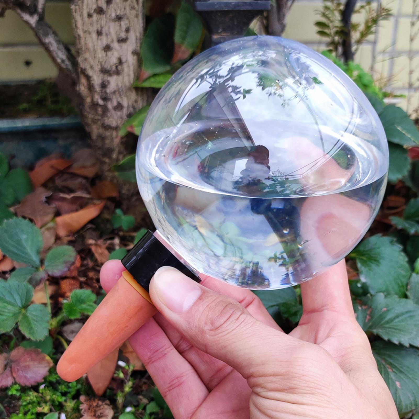 Ampoules d'arrosage automatiqu - Plant Watering Globe avis et prix