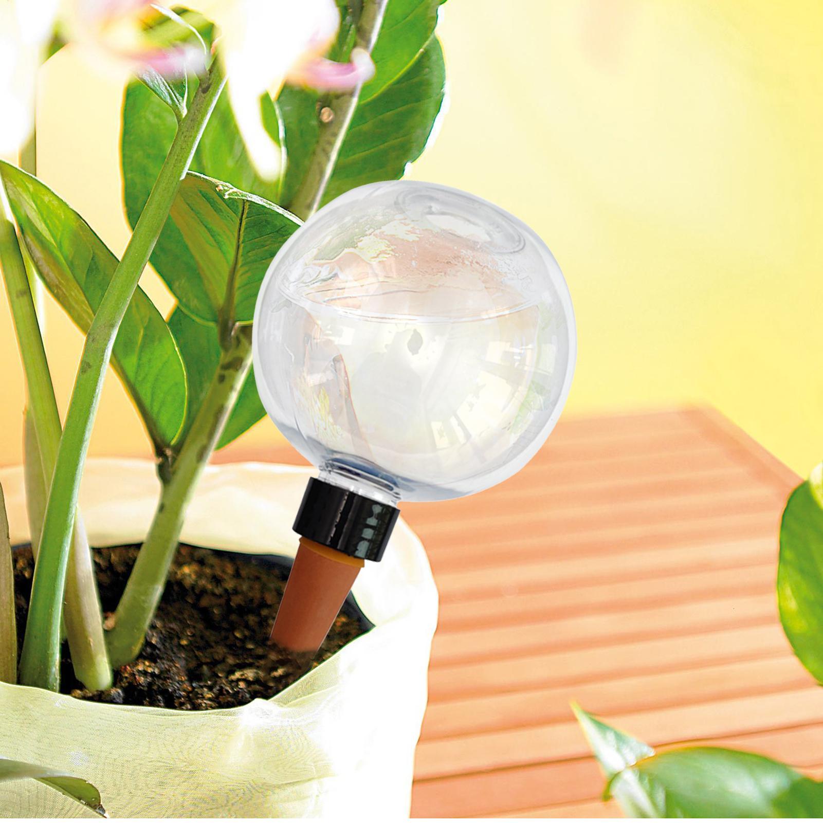 Ampoules d'arrosage automatiqu - Plant Watering Globe avis et prix