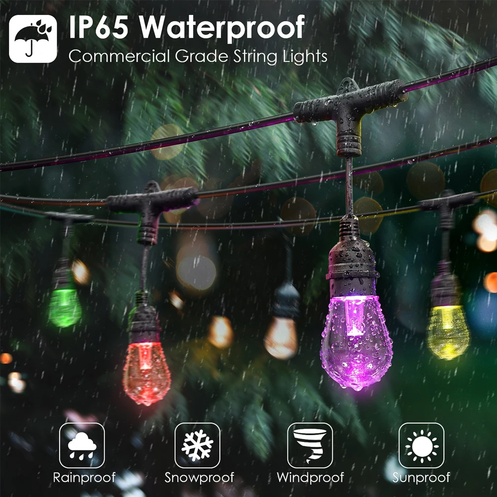Guirlande lumineuse LED intell - Smart Garden Festoon Lights avis et prix