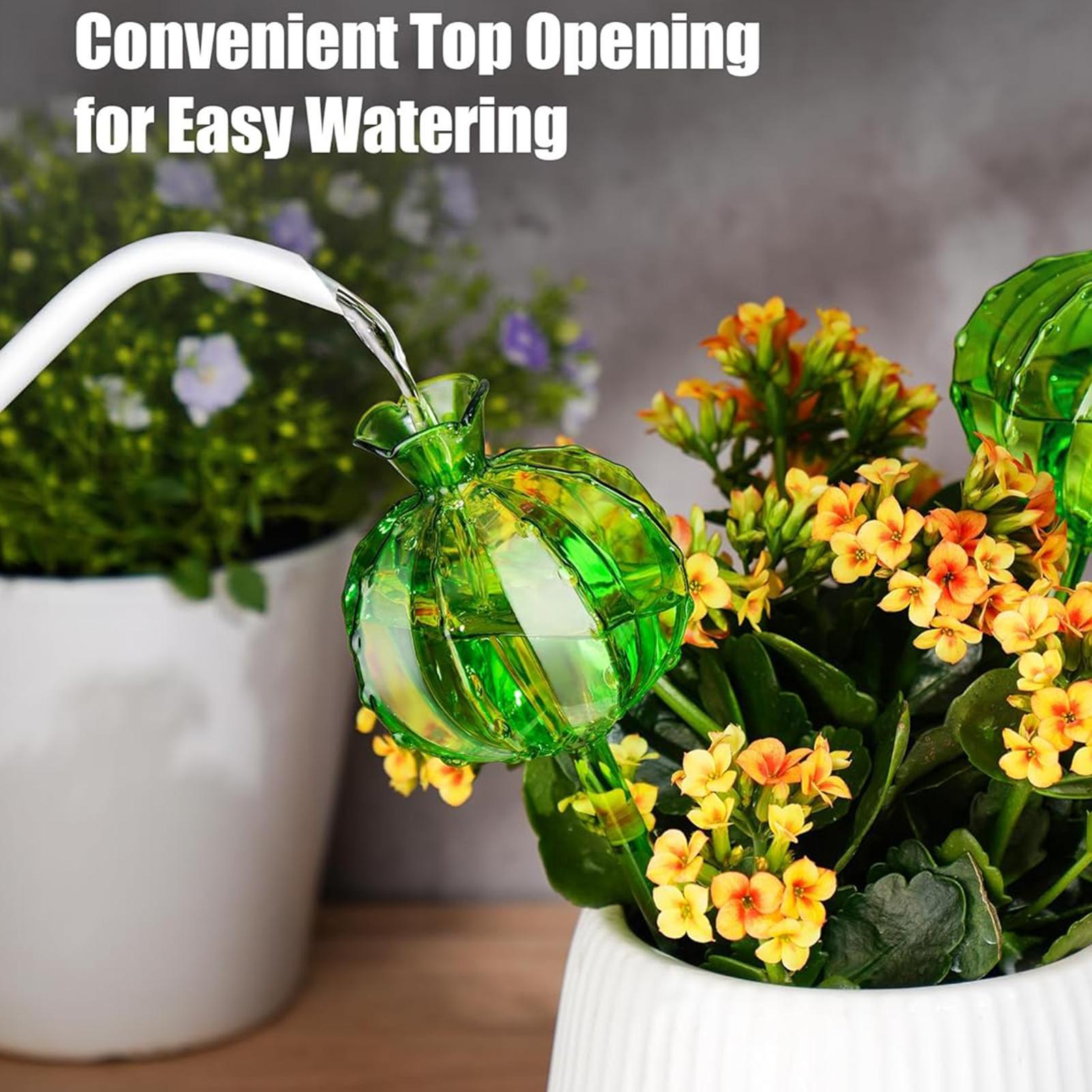 Globes d'arrosage pour plantes - Plant Watering Globe avis et prix